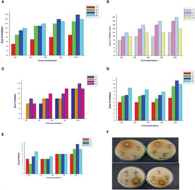 Assessment of anticancer properties of cumin seed (Cuminum cyminum) against bone cancer